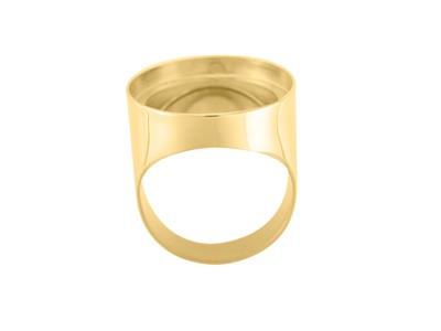 Chevalière Monedero 20 Frs, Oro Amarillo 18k. Ref. 08006 - Imagen Estandar - 1